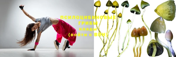 mix Надым