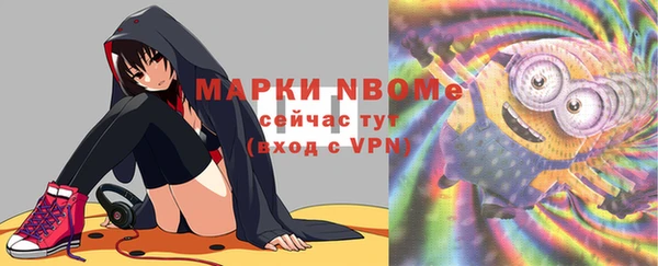 тгк Нея